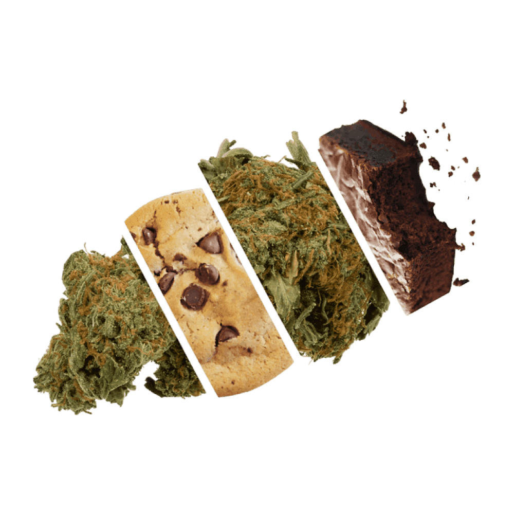 Incredibles | Snoozzzeberry Chocolate